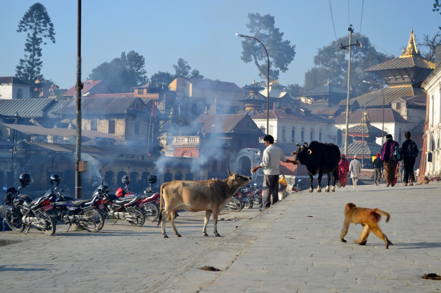 cosa vedere a kathmandu cosa vedere a kathmandu