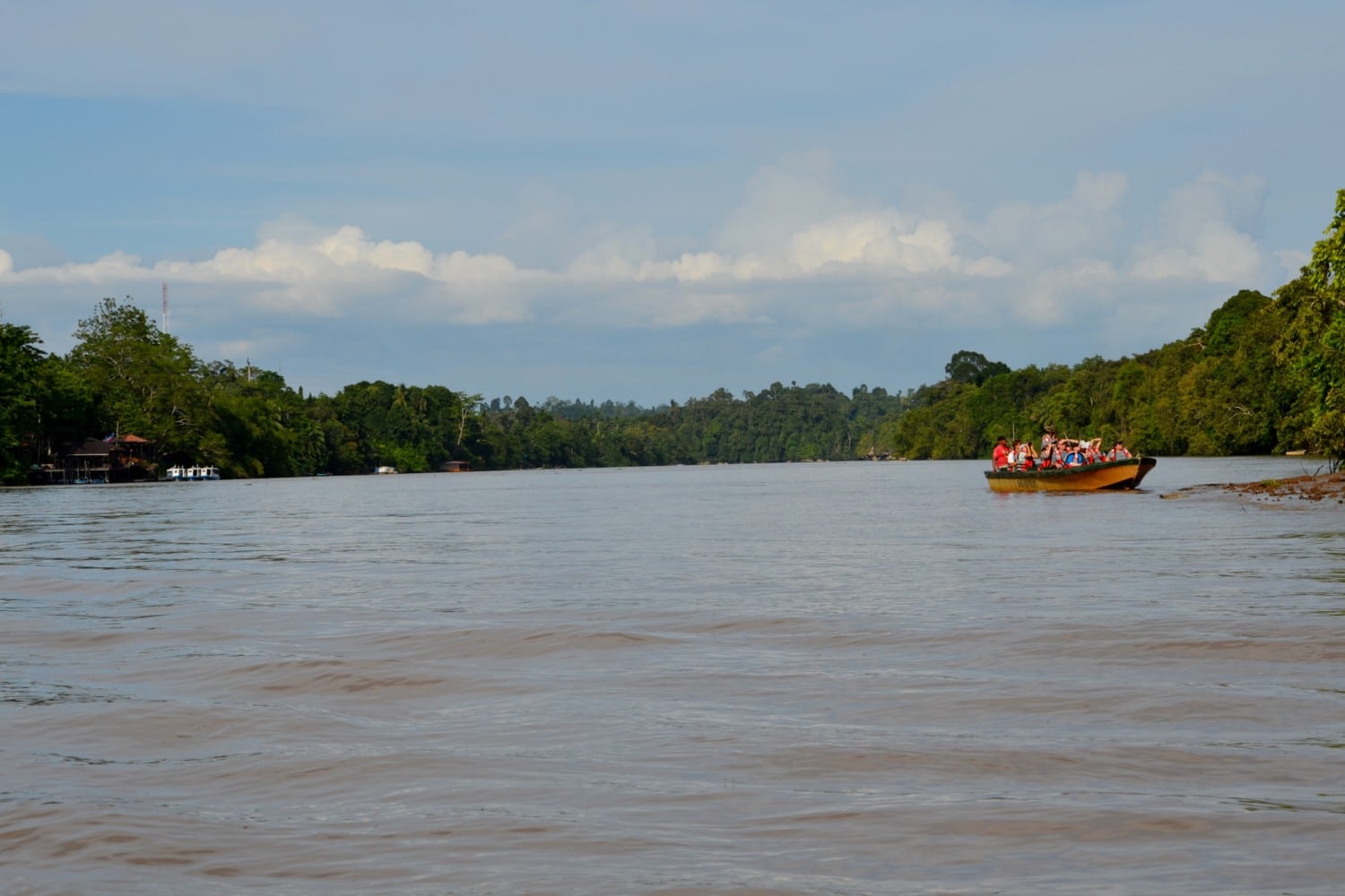 fiume kinabatangan borneo fiume kinabatangan borneo