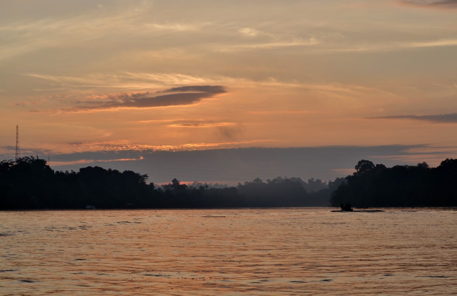 fiume kinabatangan borneo fiume kinabatangan borneo