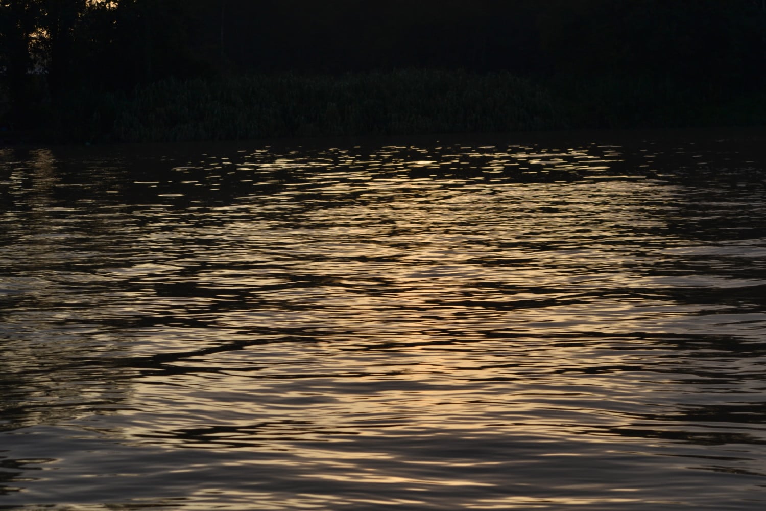 fiume kinabatangan borneo