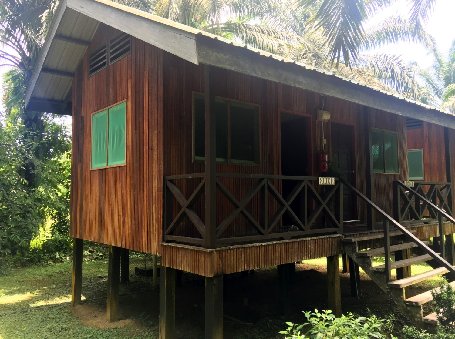fiume kinabatangan borneo fiume kinabatangan borneo