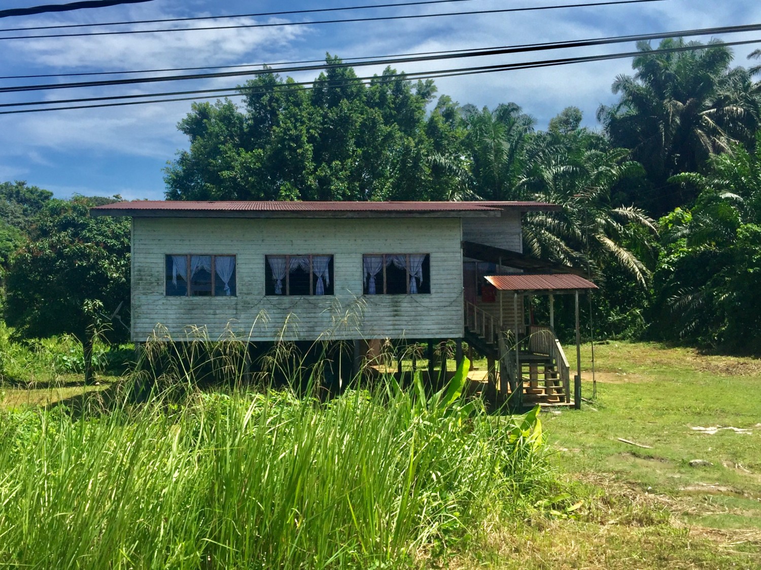 fiume kinabatangan borneo fiume kinabatangan borneo