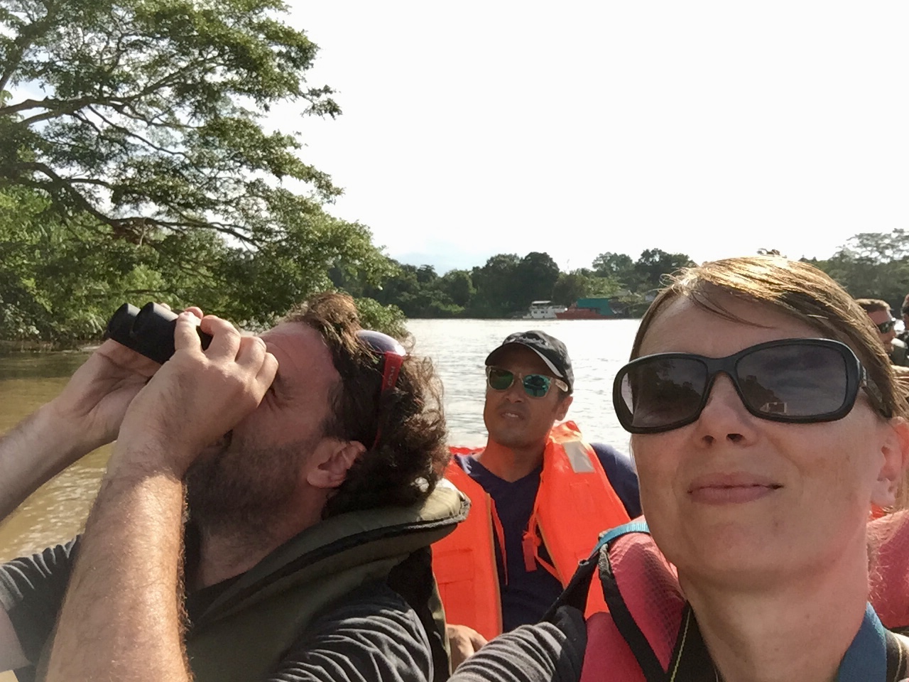 fiume kinabatangan borneo fiume kinabatangan borneo