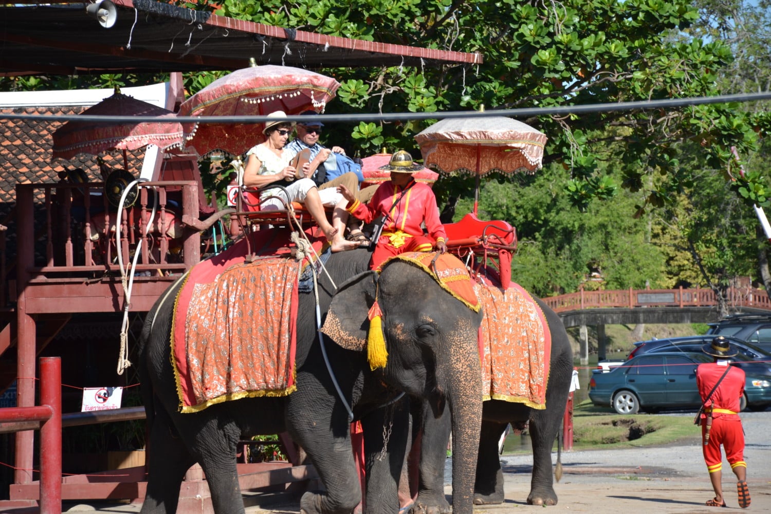 dove vedere gli elefanti in thailandia dove vedere gli elefanti in thailandia