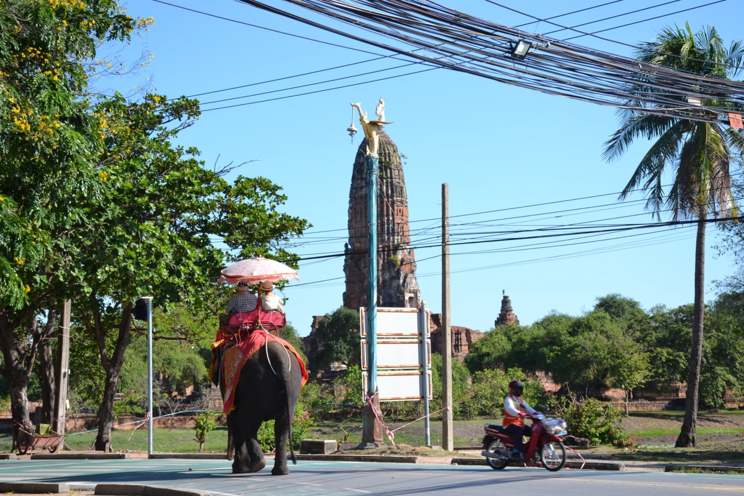 dove vedere gli elefanti in thailandia dove vedere gli elefanti in thailandia