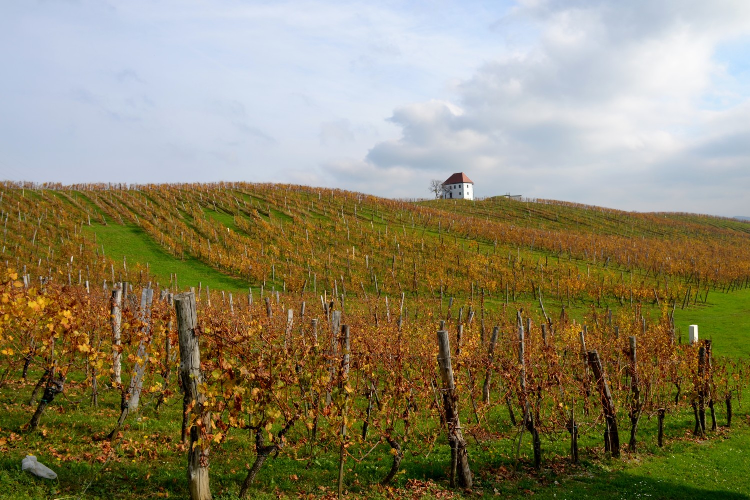 slovenia slovenske konjice