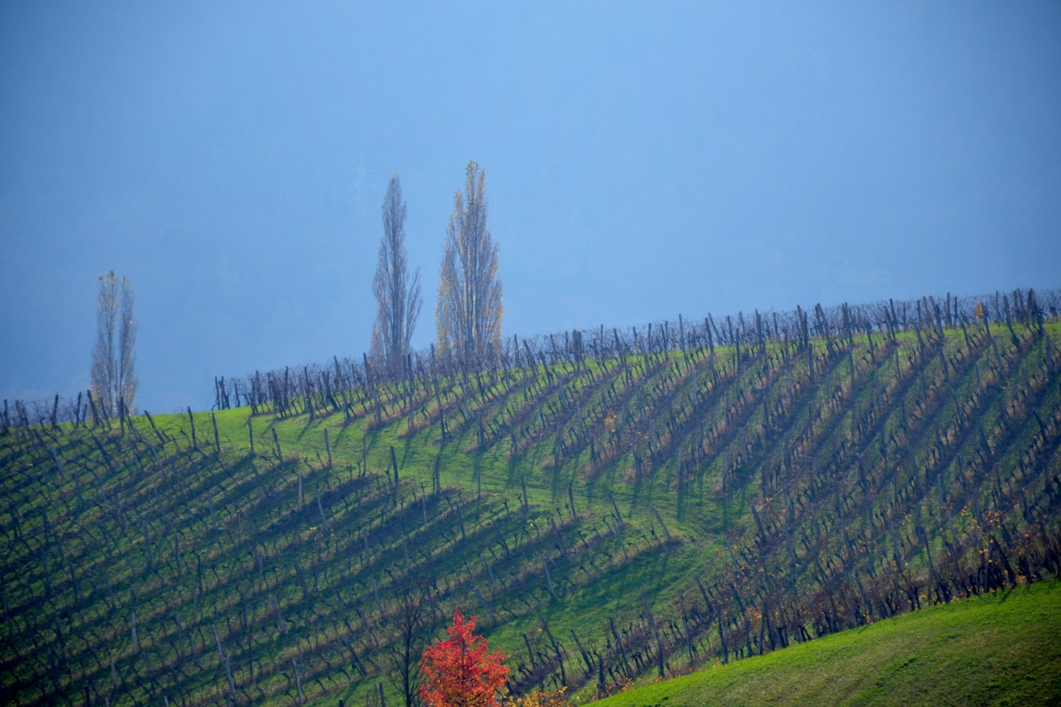 slovenia slovenske konjice slovenia slovenske konjice