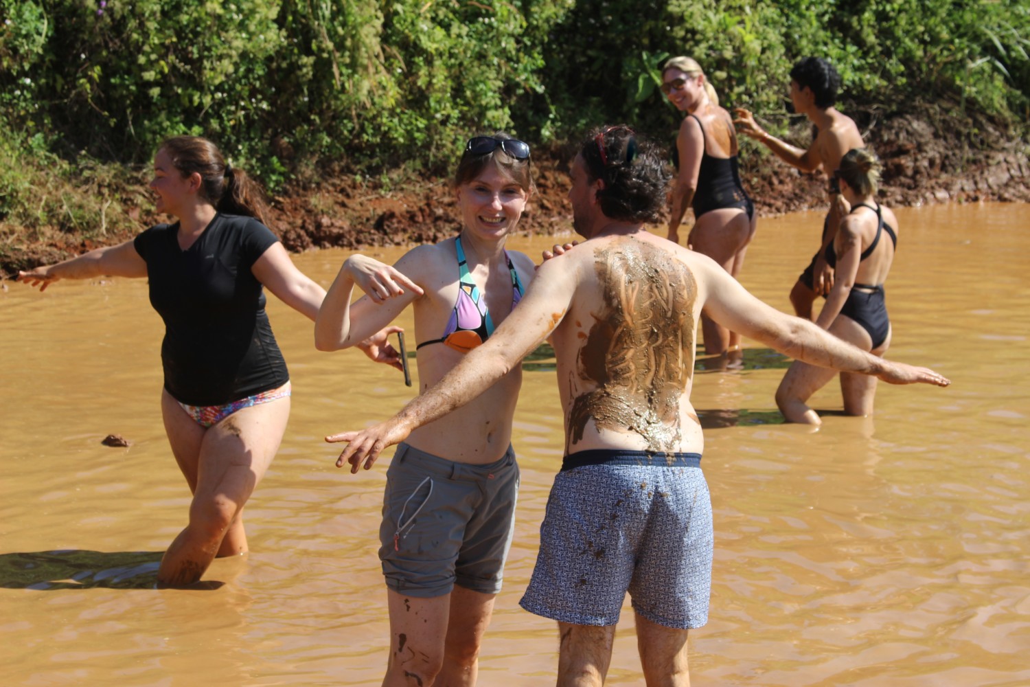 dove vedere gli elefanti in thailandia dove vedere gli elefanti in thailandia
