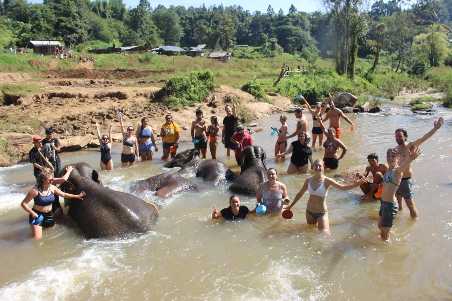 dove vedere gli elefanti in thailandia dove vedere gli elefanti in thailandia