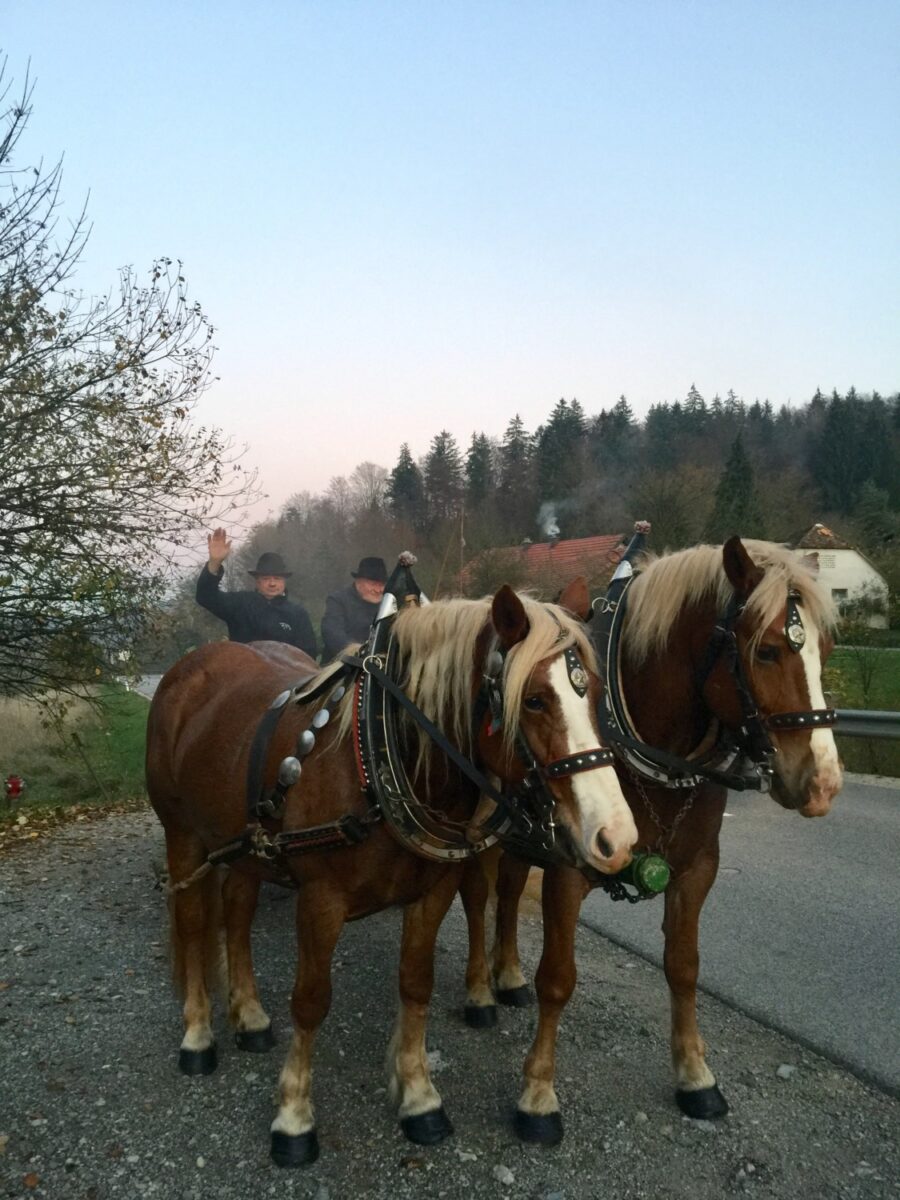 slovenia sentjur slovenia sentjur