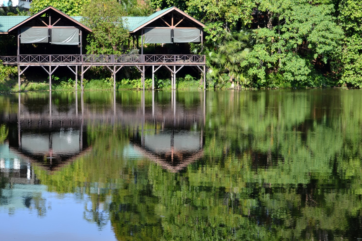borneo fai da te itinerario