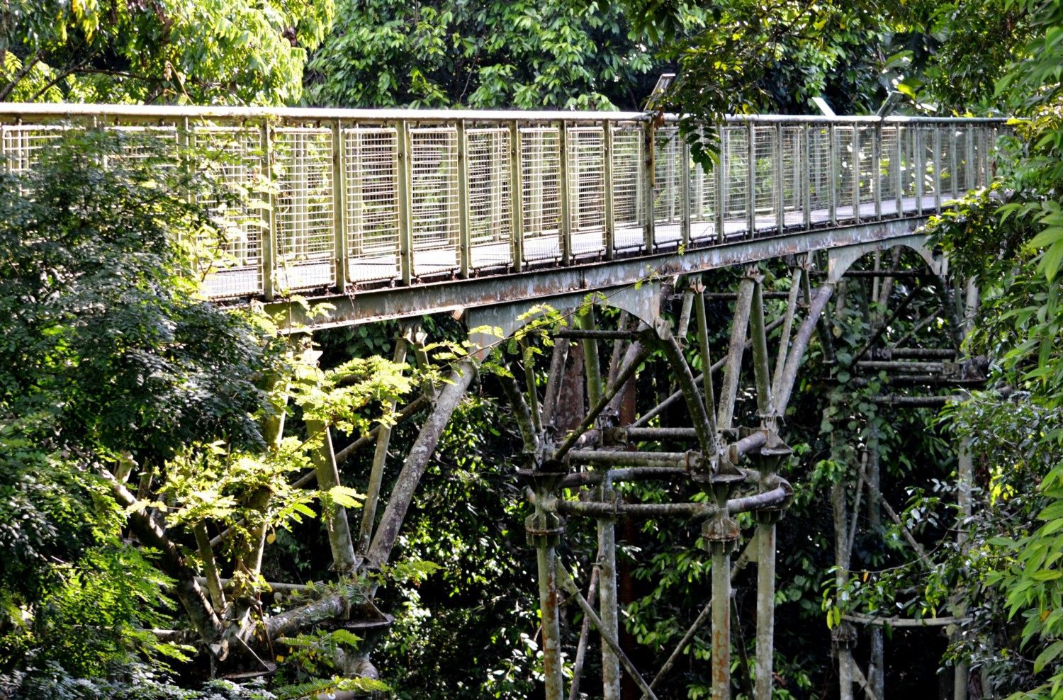 borneo fai da te itinerario