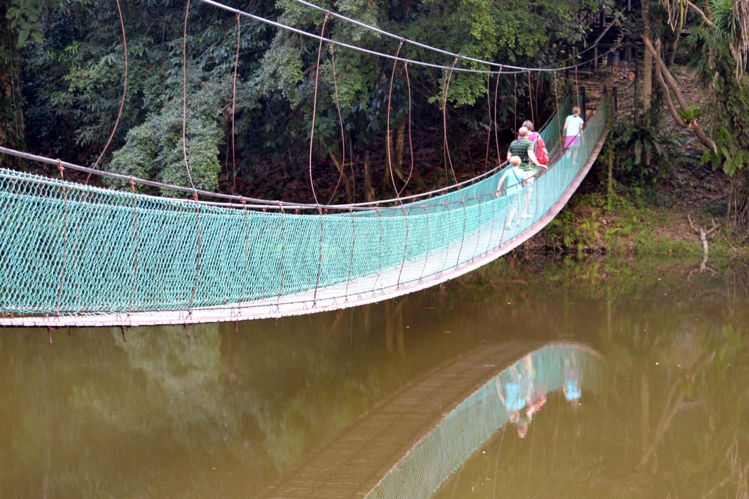 borneo fai da te itinerario borneo fai da te itinerario