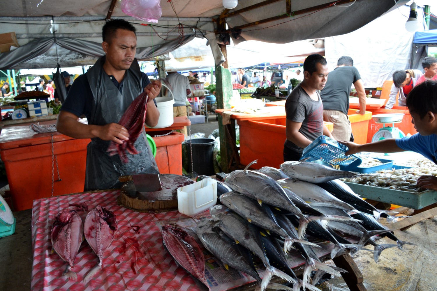 borneo fai da te itinerario borneo fai da te itinerario