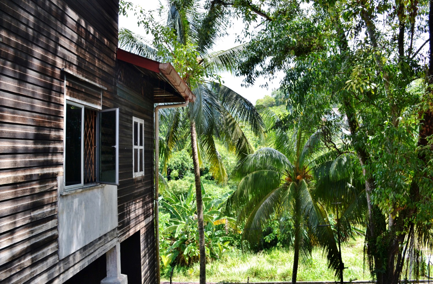 borneo fai da te itinerario borneo fai da te itinerario