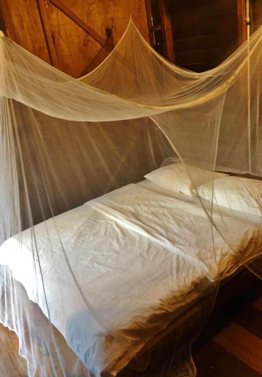 borneo fai da te itinerario borneo fai da te itinerario