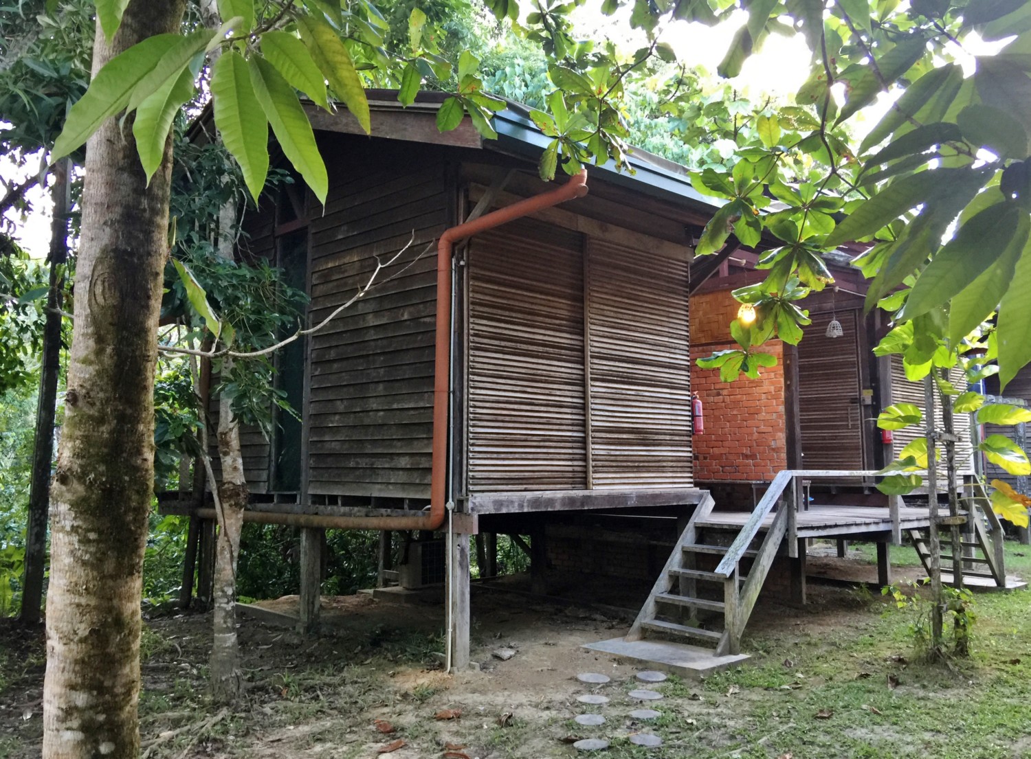 borneo fai da te itinerario borneo fai da te itinerario