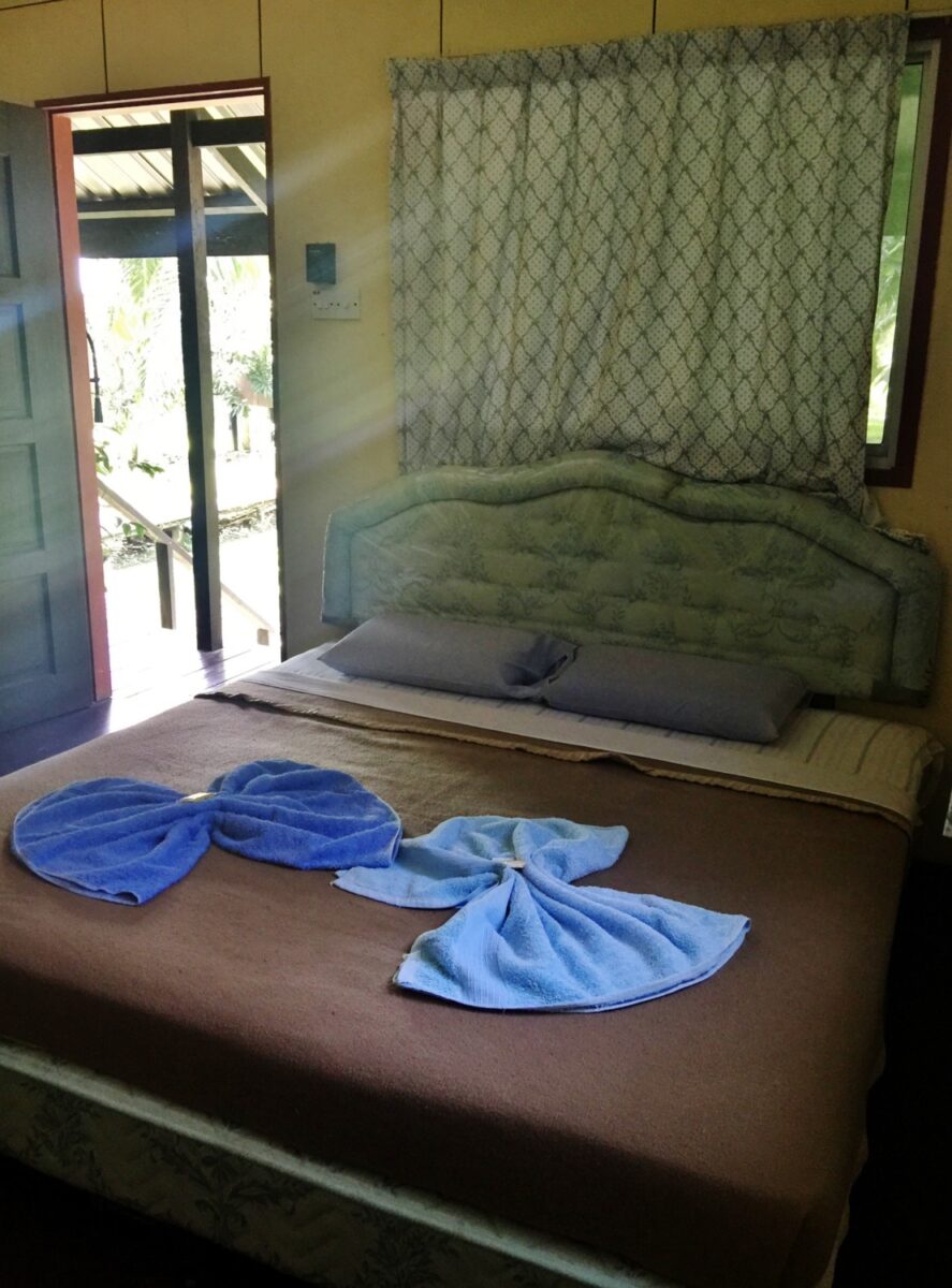 borneo fai da te itinerario borneo fai da te itinerario