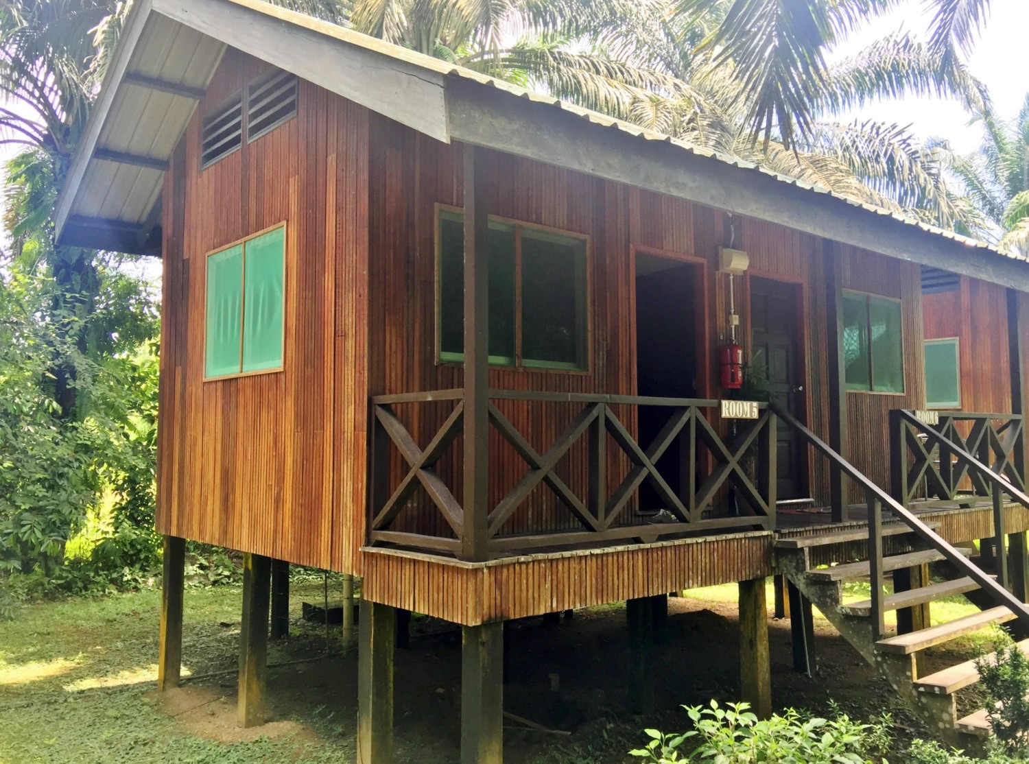 borneo fai da te itinerario borneo fai da te itinerario