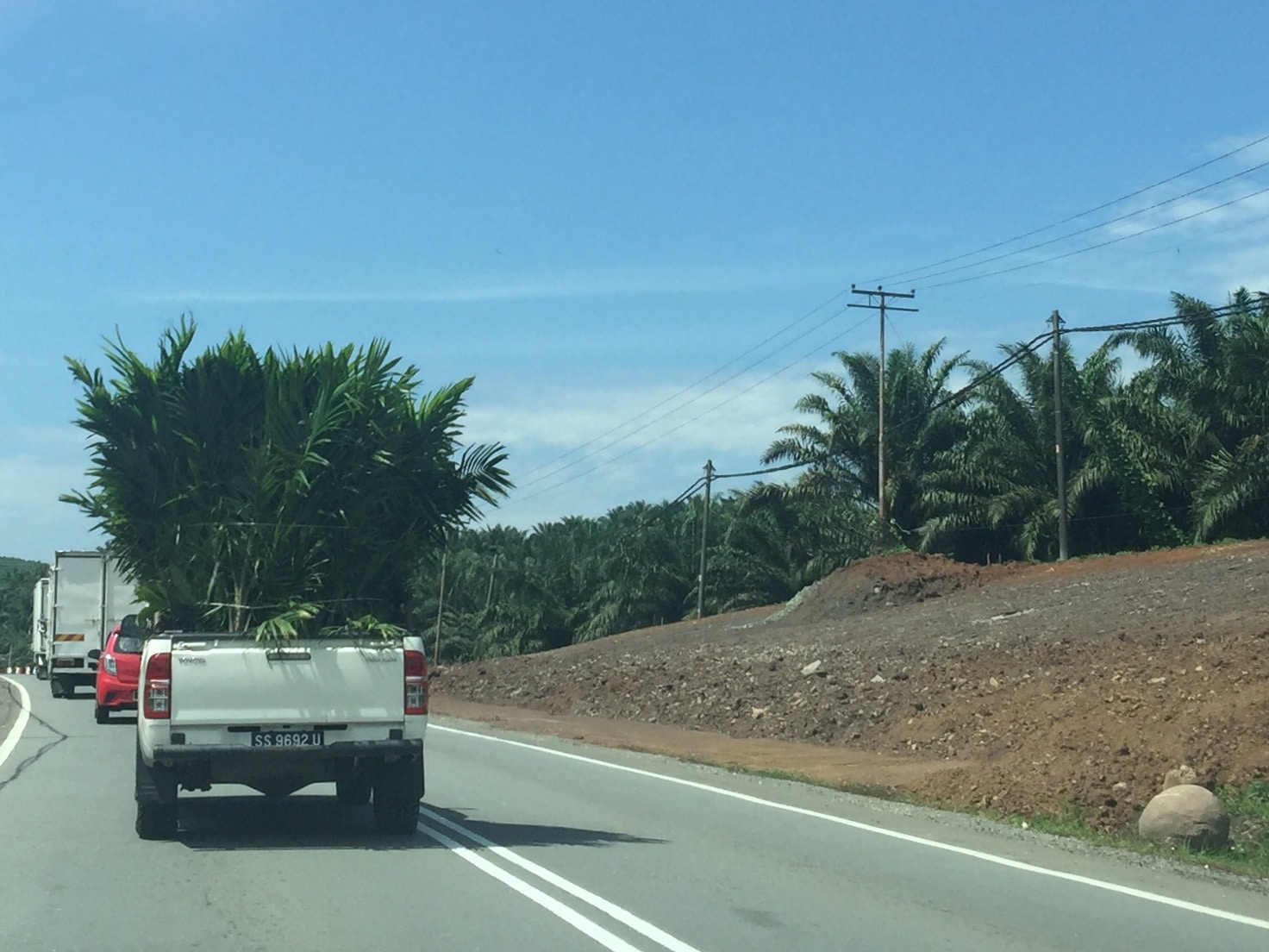 borneo fai da te itinerario borneo fai da te itinerario