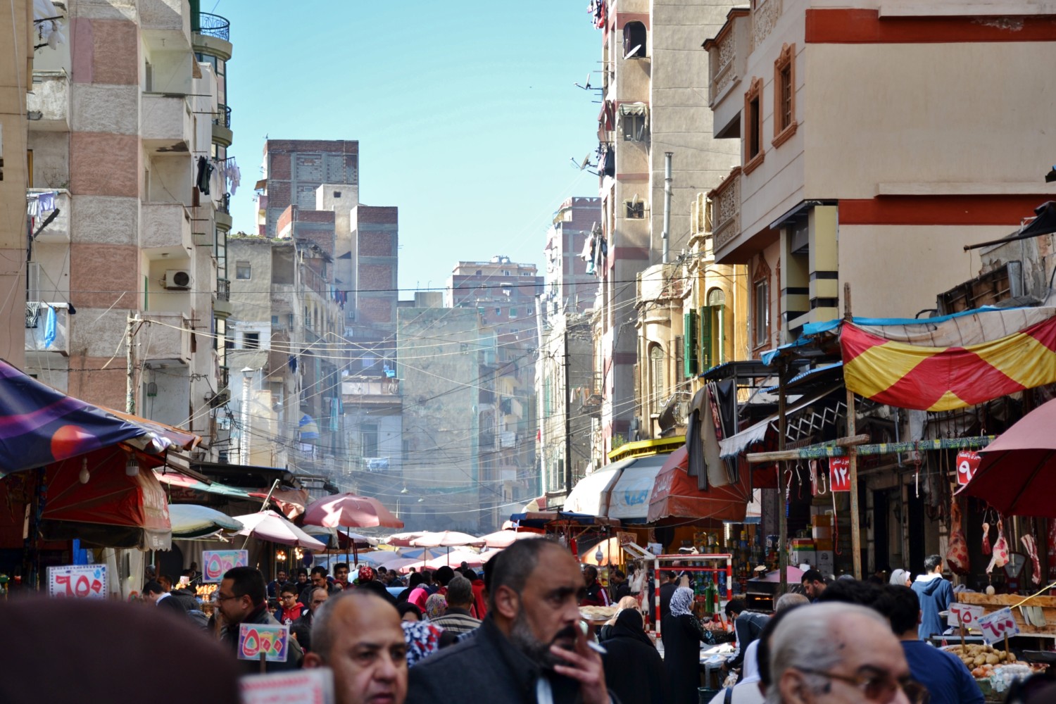 alessandria degitto cosa vedere alessandria degitto cosa vedere