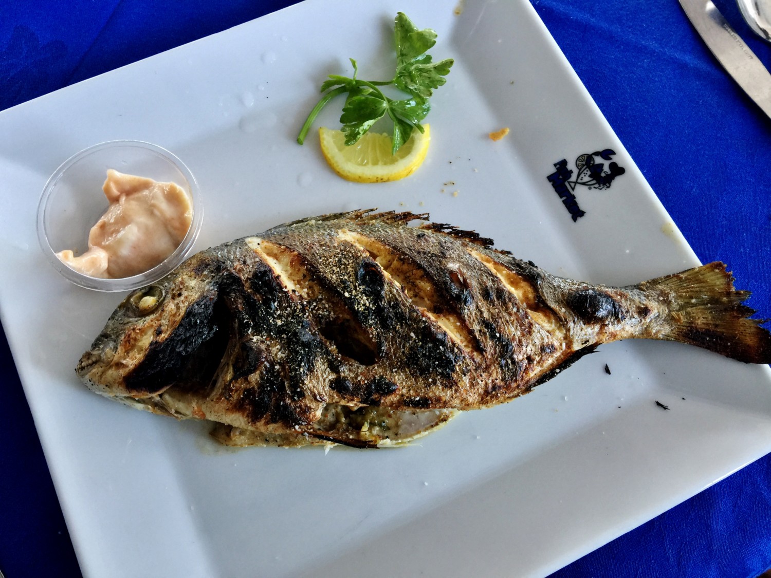 alessandria degitto cosa vedere alessandria degitto cosa vedere