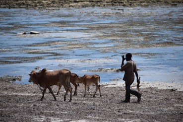 conversando di viaggi conversando di viaggi