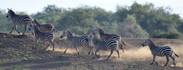 conversando di viaggi conversando di viaggi