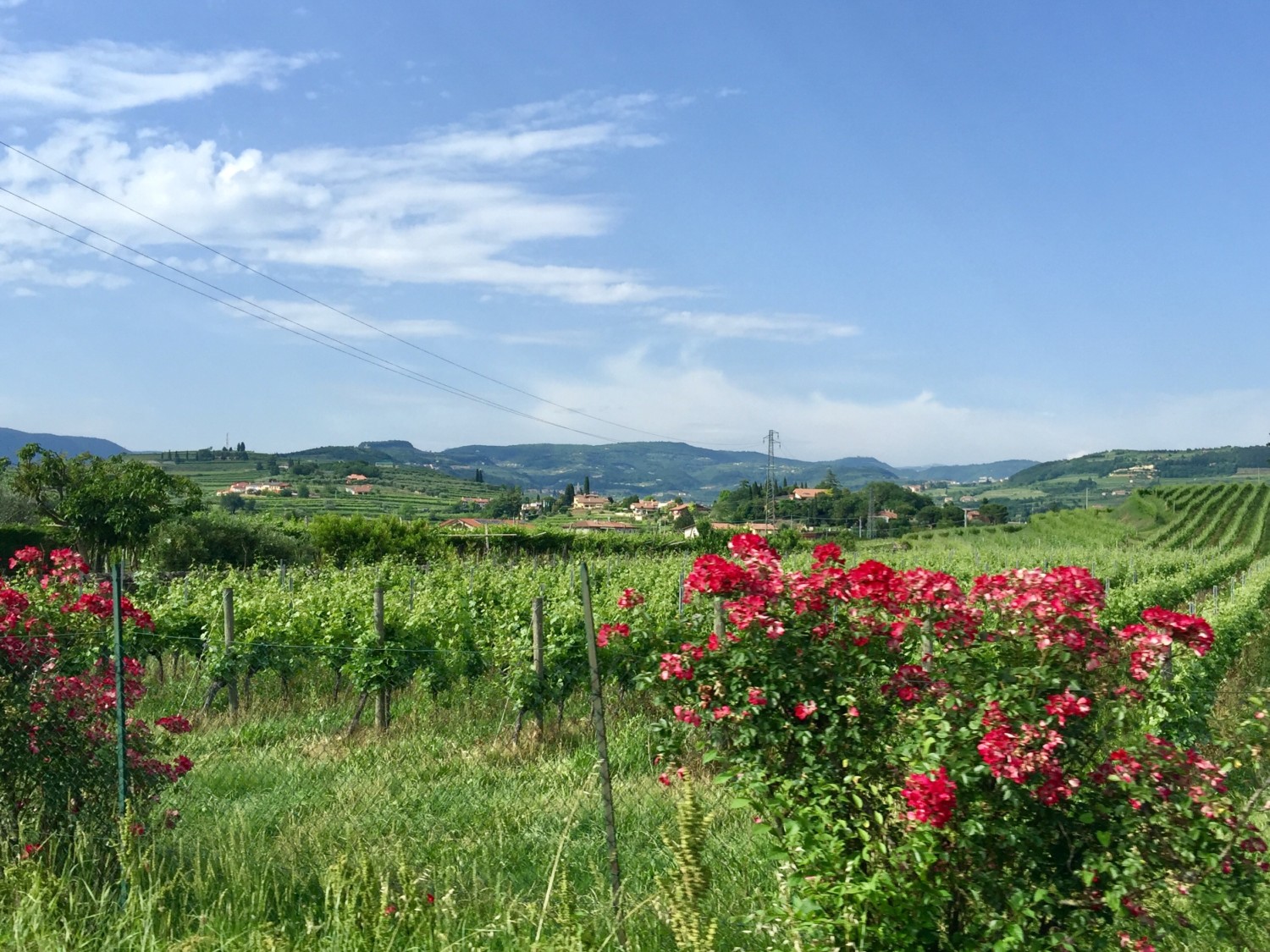 valpolicella cosa vedere valpolicella cosa vedere