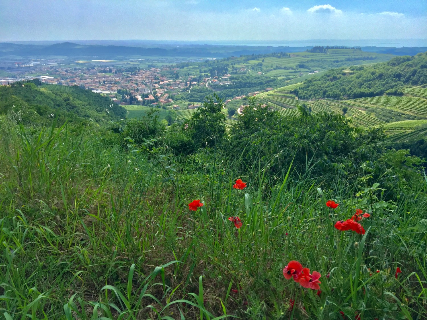 valpolicella cosa vedere valpolicella cosa vedere