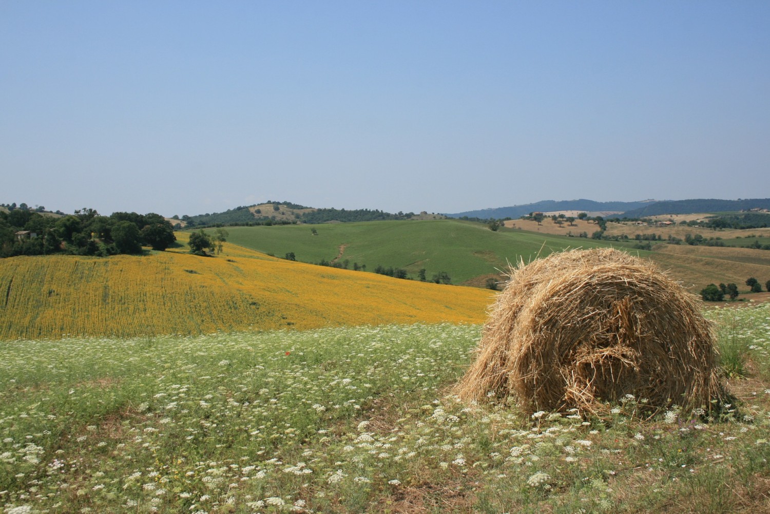 cosa vedere nella maremma toscana cosa vedere nella maremma toscana