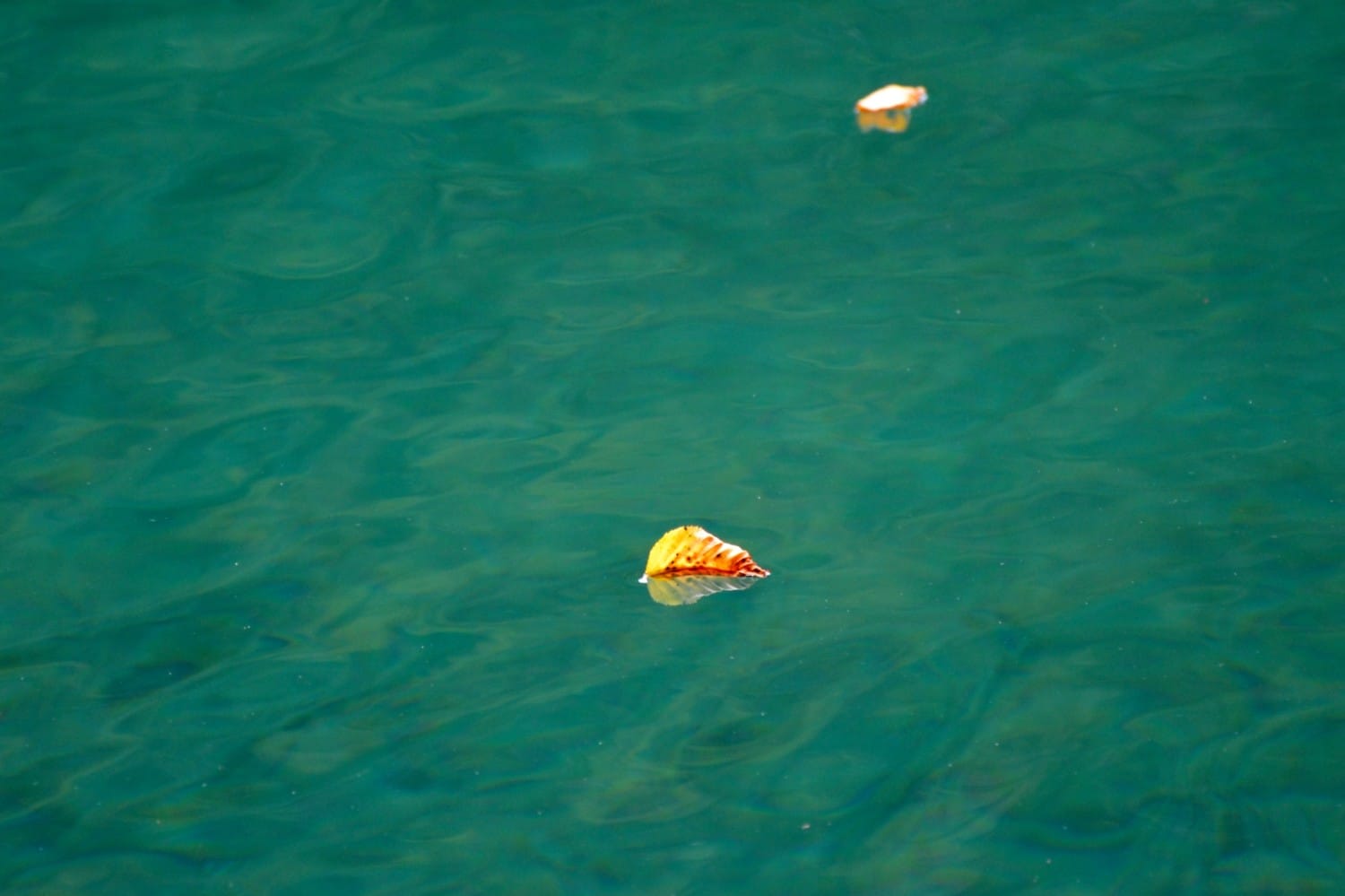 cosa sapere per visitare i laghi di Plitvice cosa sapere per visitare i laghi di Plitvice