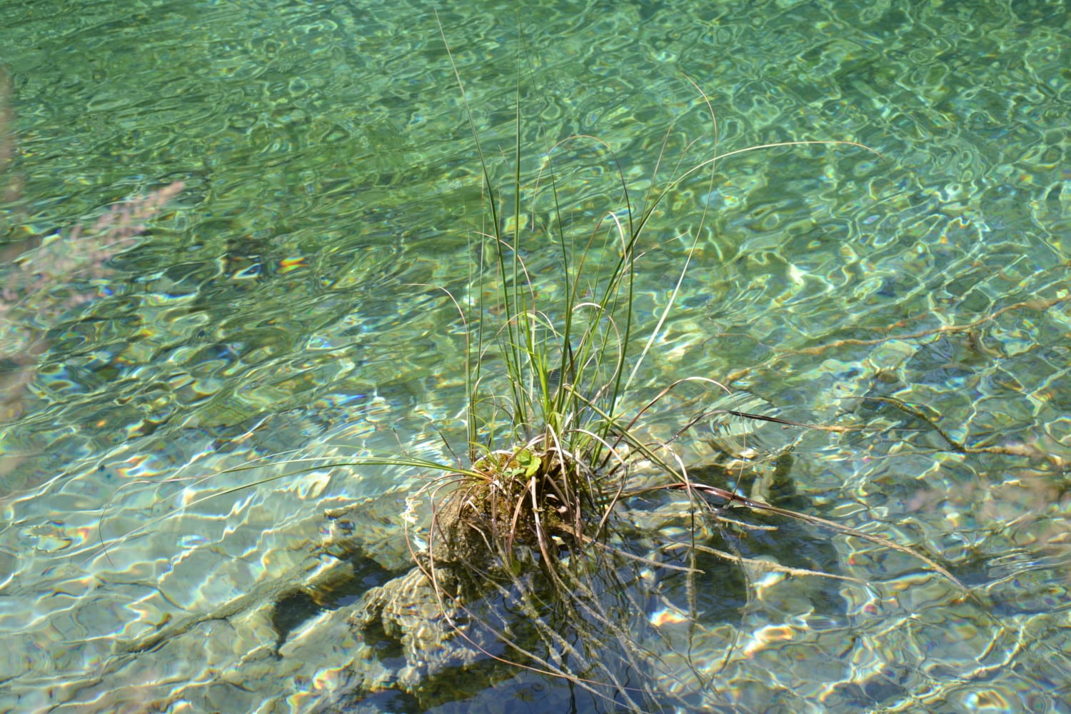 cosa sapere per visitare i laghi di plitvice cosa sapere per visitare i laghi di plitvice