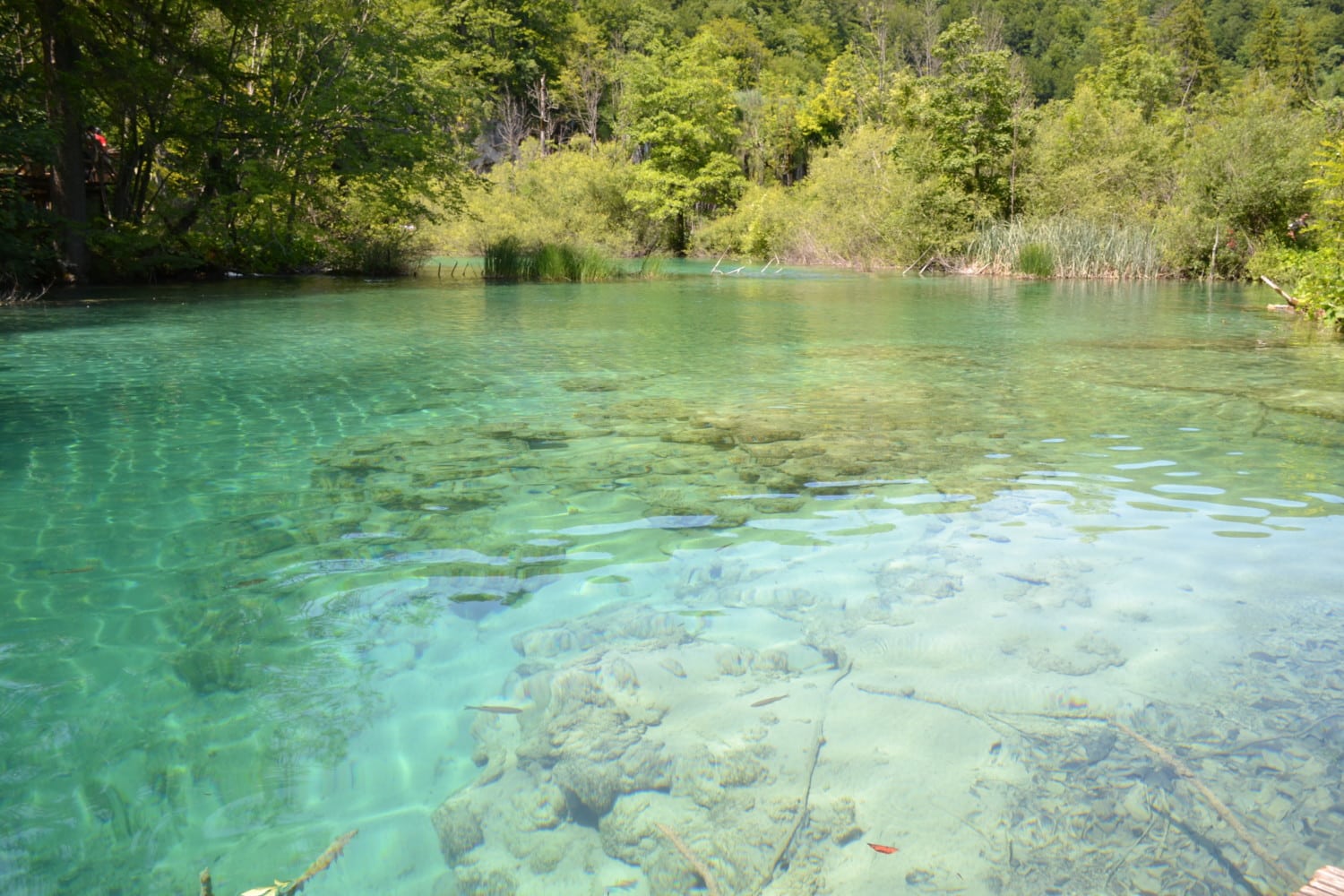 cosa sapere per visitare i laghi di plitvice cosa sapere per visitare i laghi di plitvice