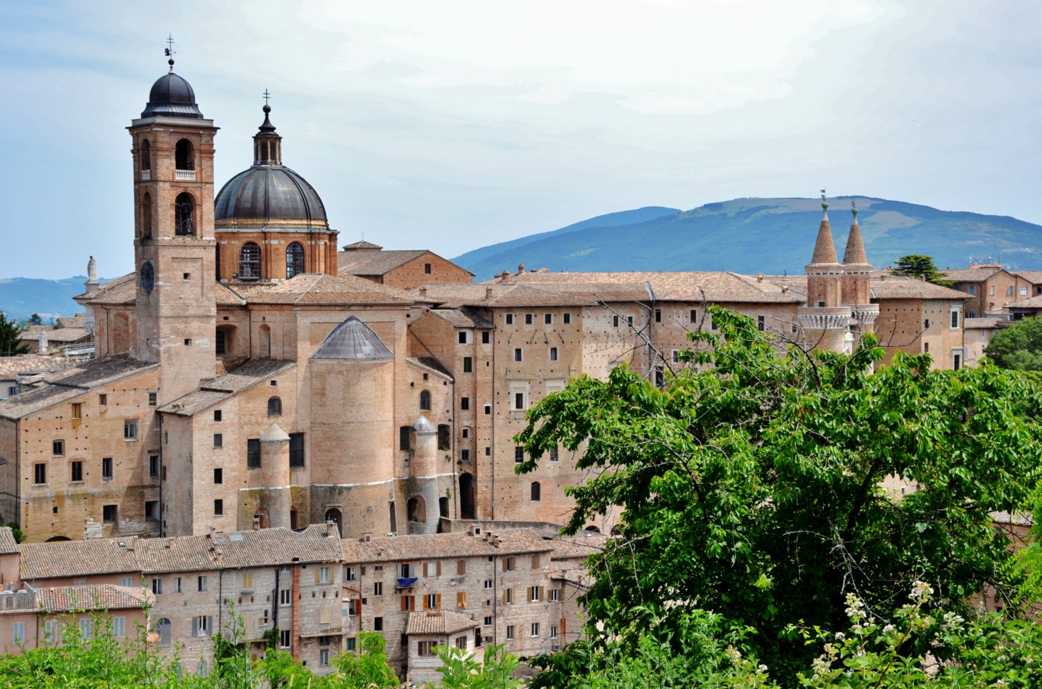 urbino cosa vedere urbino cosa vedere