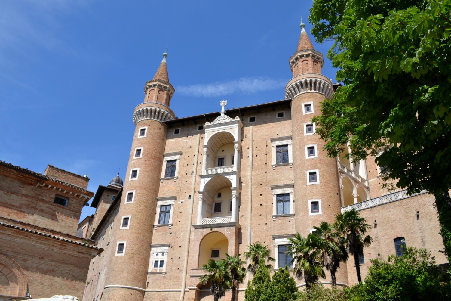 urbino cosa vedere urbino cosa vedere
