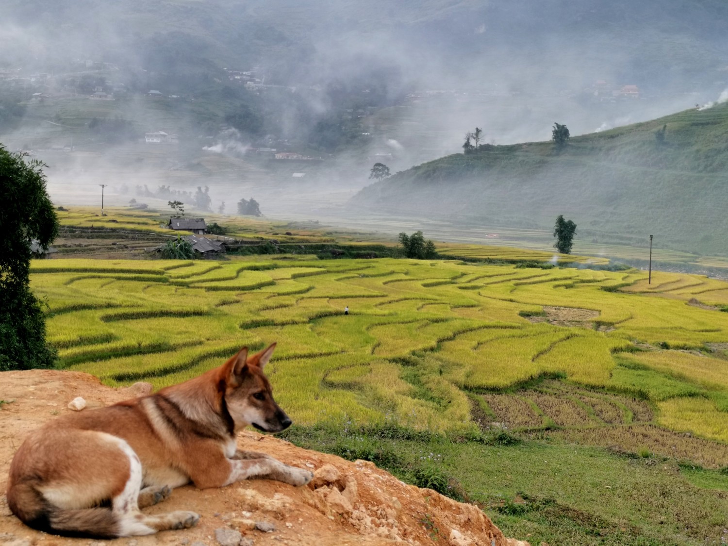 vietnam fai da te itinerario vietnam fai da te itinerario