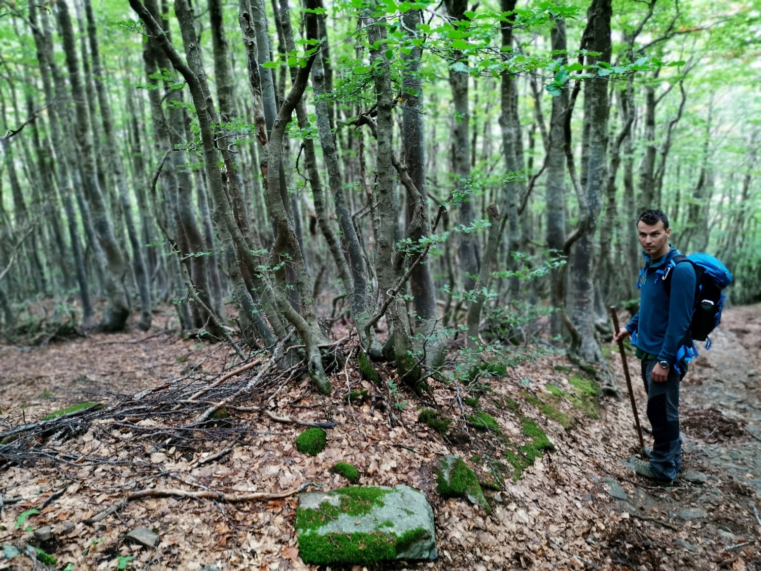 aspromonte dove andare aspromonte dove andare