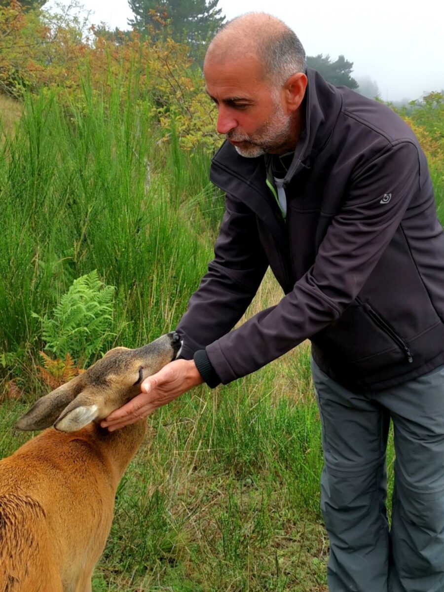 aspromonte dove andare aspromonte dove andare
