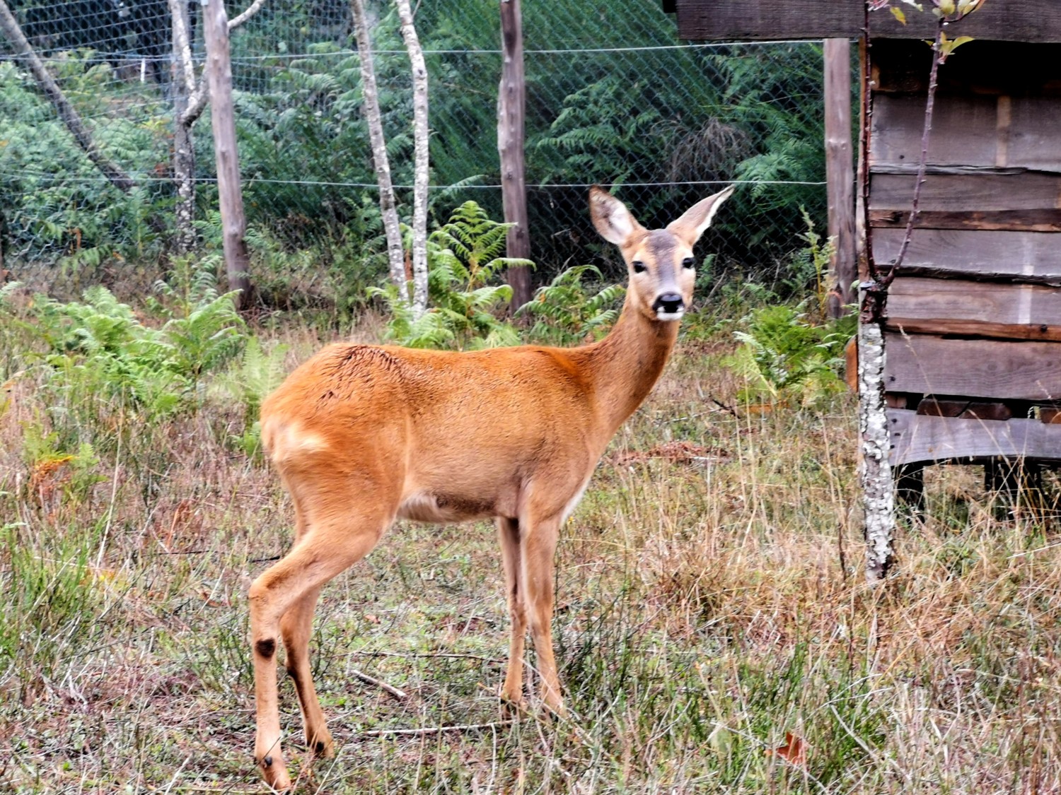 aspromonte dove andare aspromonte dove andare