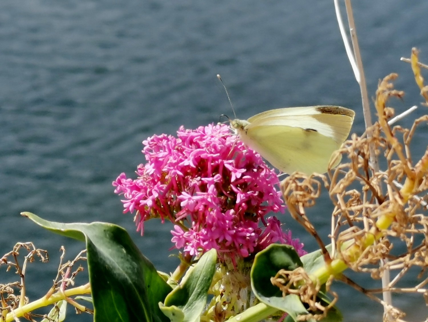 aspromonte dove andare aspromonte dove andare