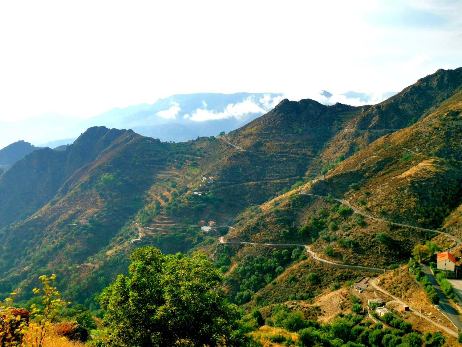 aspromonte dove andare aspromonte dove andare