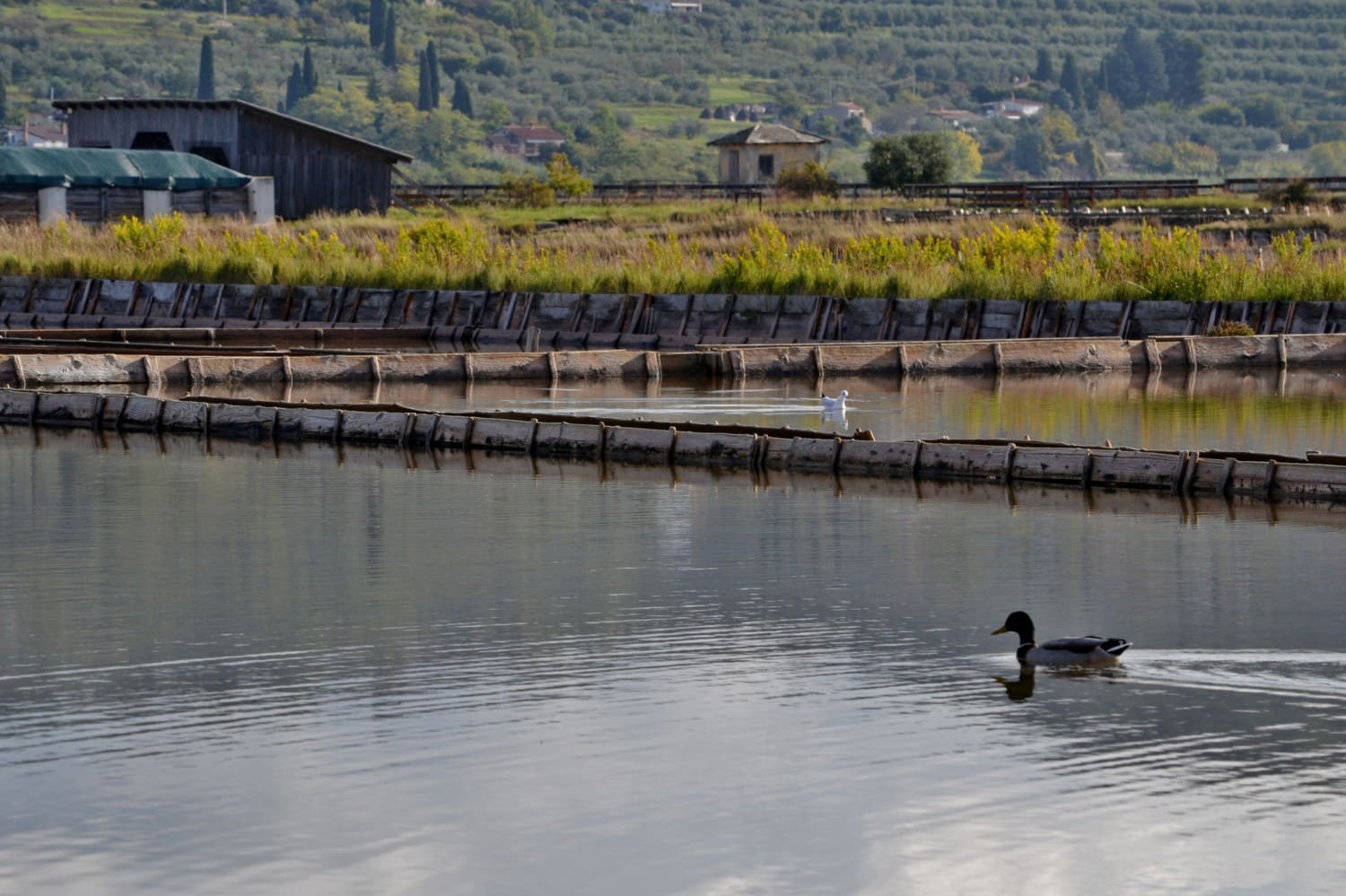 istria slovena itinerario istria slovena itinerario