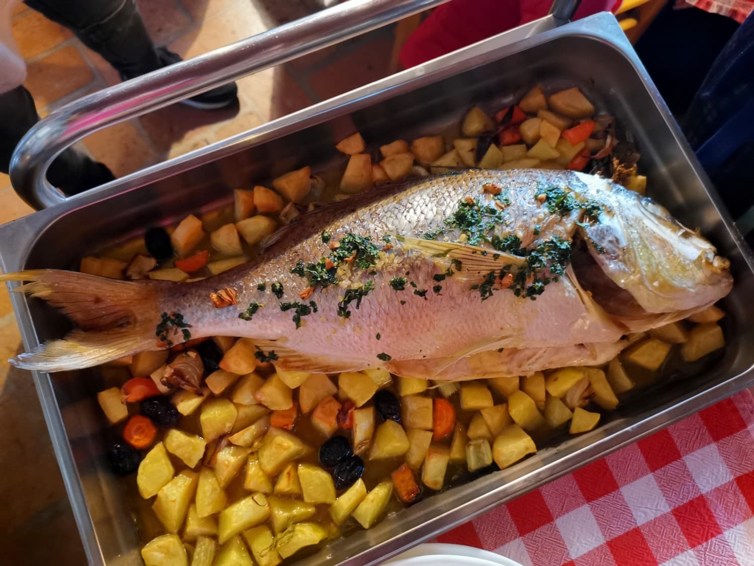 istria slovena itinerario istria slovena itinerario