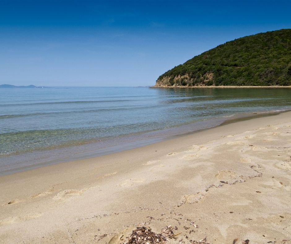 spiaggia di Cala Violina spiaggia di Cala Violina