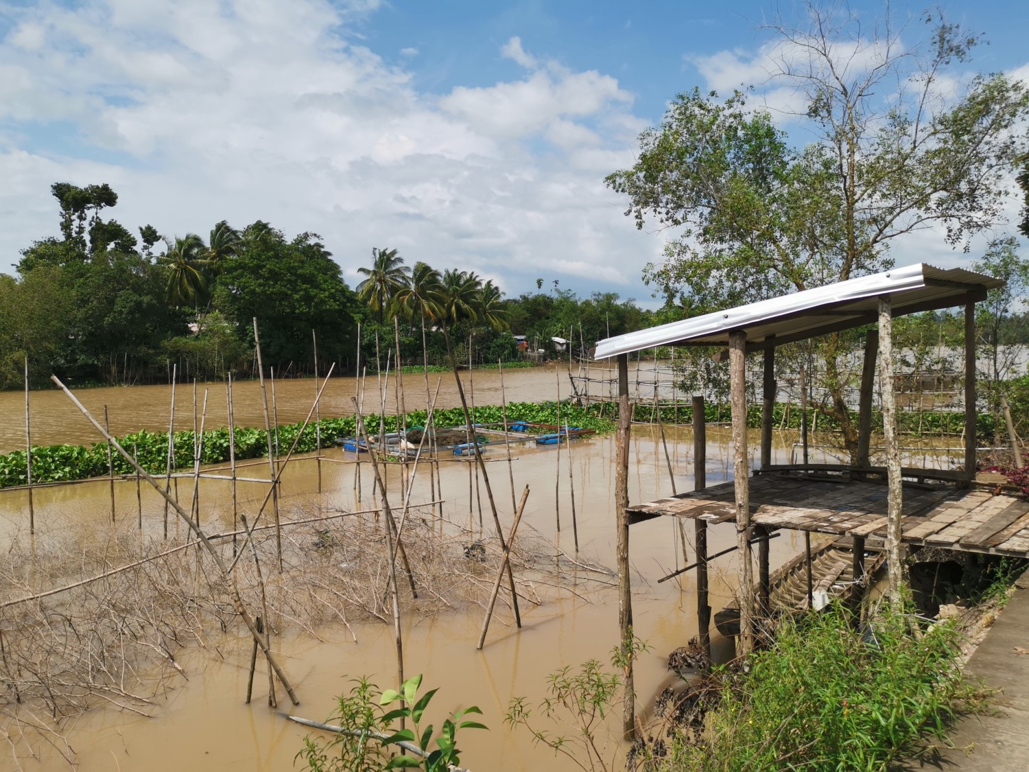 delta del mekong vietnam delta del mekong vietnam