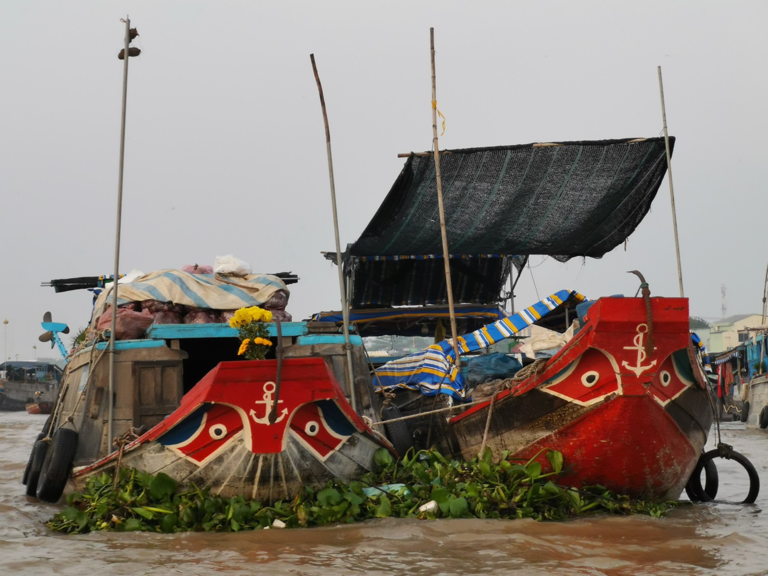 delta del mekong vietnam delta del mekong vietnam