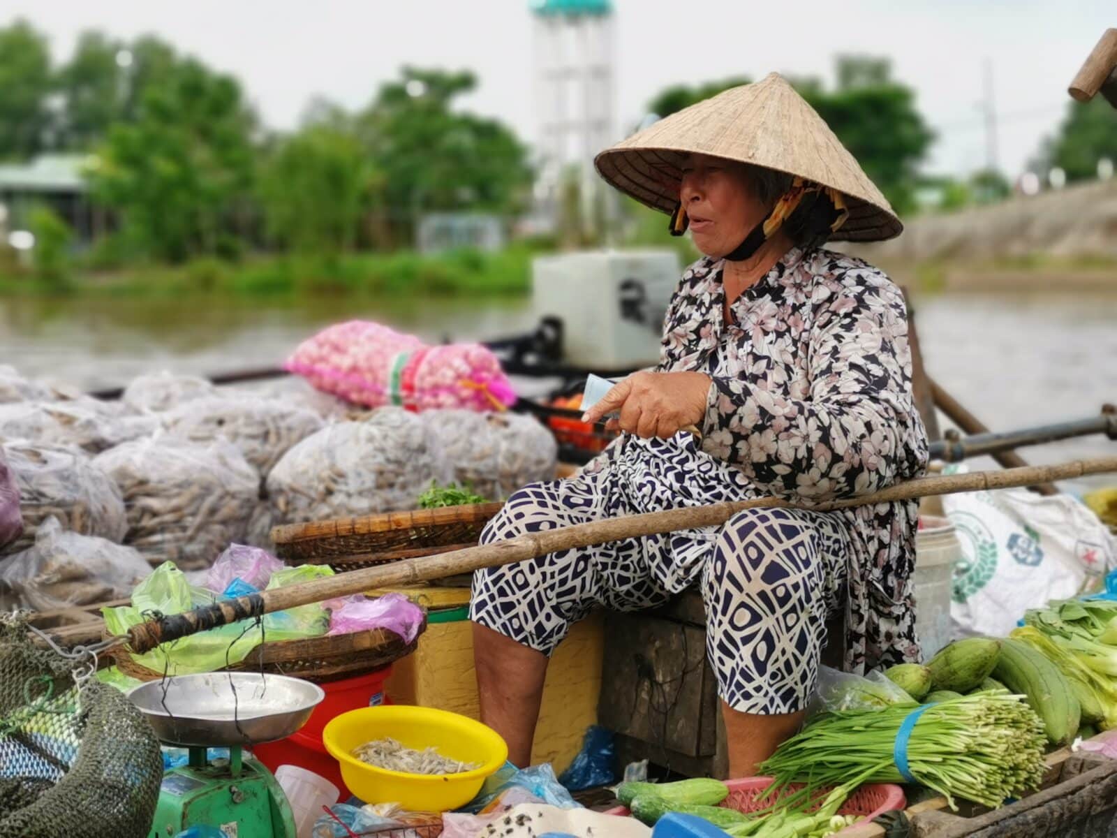 delta del mekong vietnam delta del mekong vietnam