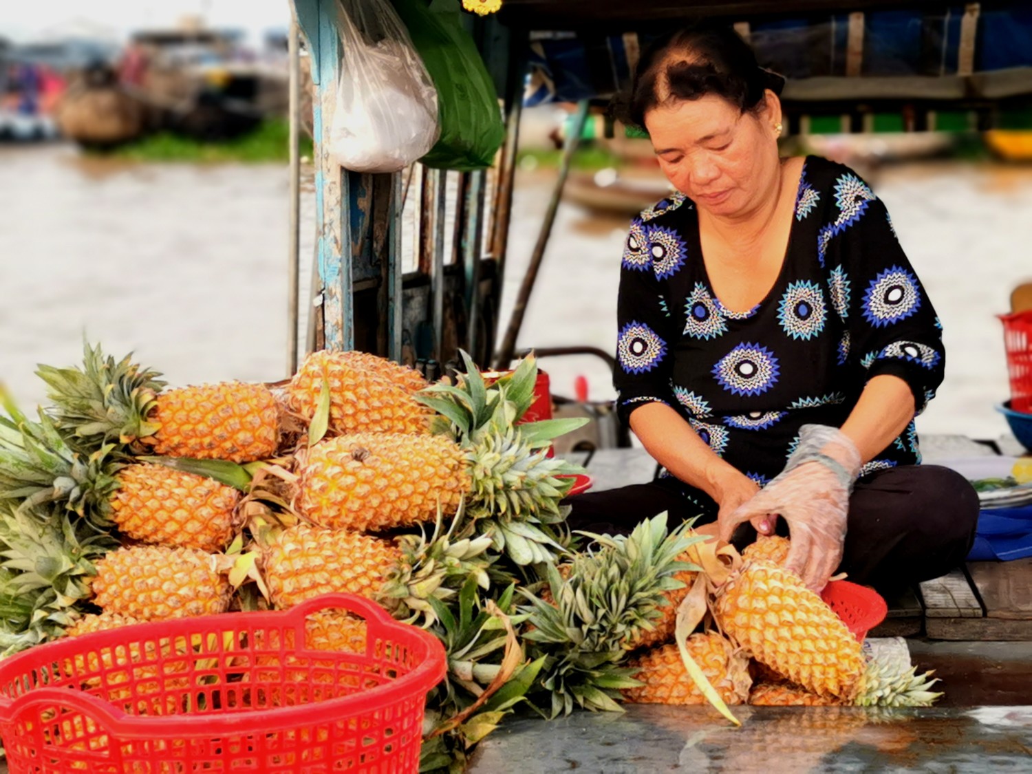 delta del mekong vietnam delta del mekong vietnam
