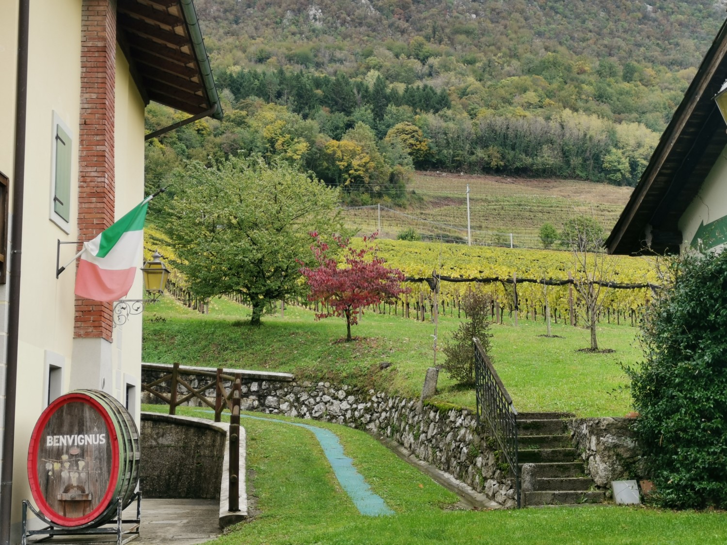 oro di ramandolo friuli oro di ramandolo friuli